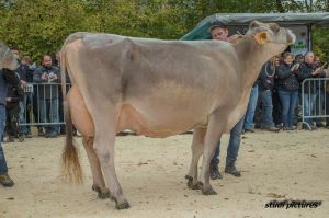 k-AR8I4463 Schneutersiegerin BV ltere Hofstetters Jongl JACOBELLIS Marco Hofstetter